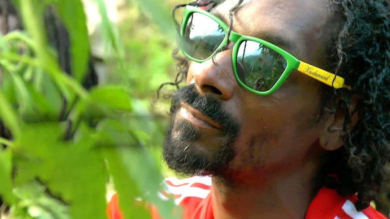 Reincarnated still 3