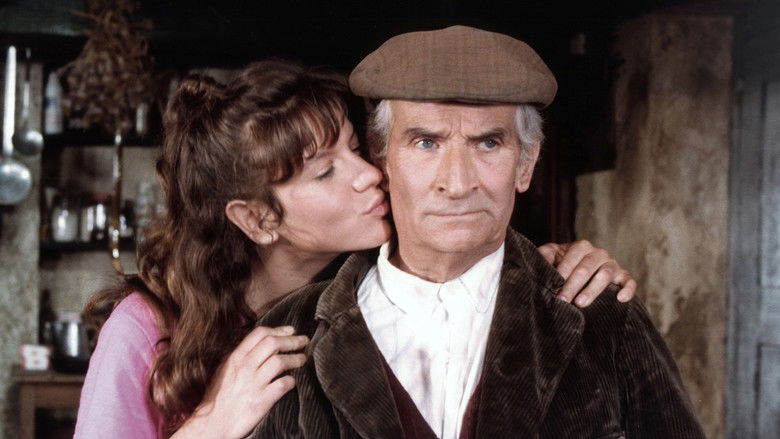 The Cabbage Soup still