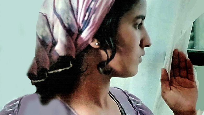 Wind from the South still 1