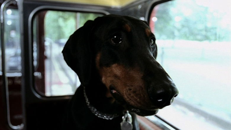 My Wrongs #8245–8249 & 117 still