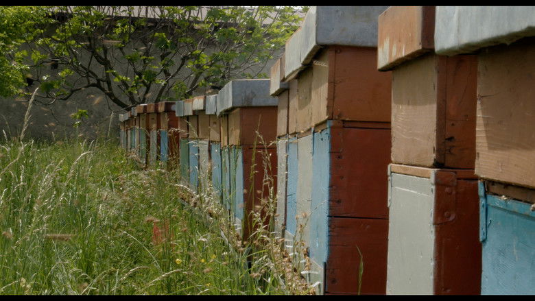 A Powerful Passion still 2