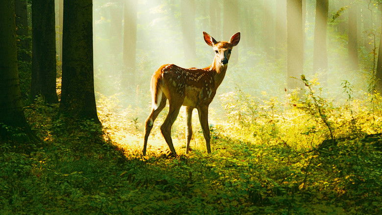 Bambi: A Tale of Life in the Woods still 3