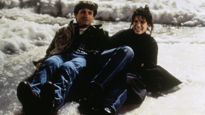 While You Were Sleeping still