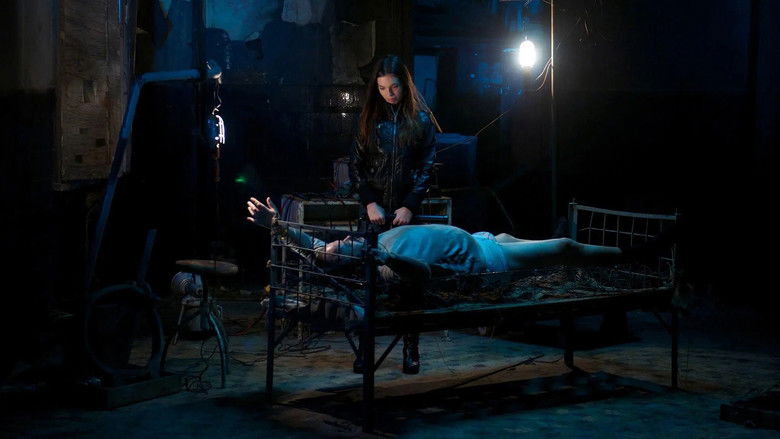 I Spit on Your Grave 2 still