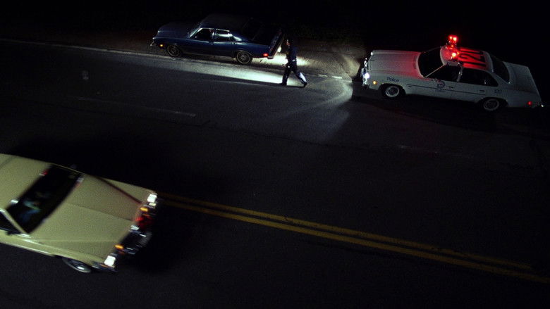 The Thin Blue Line still 2