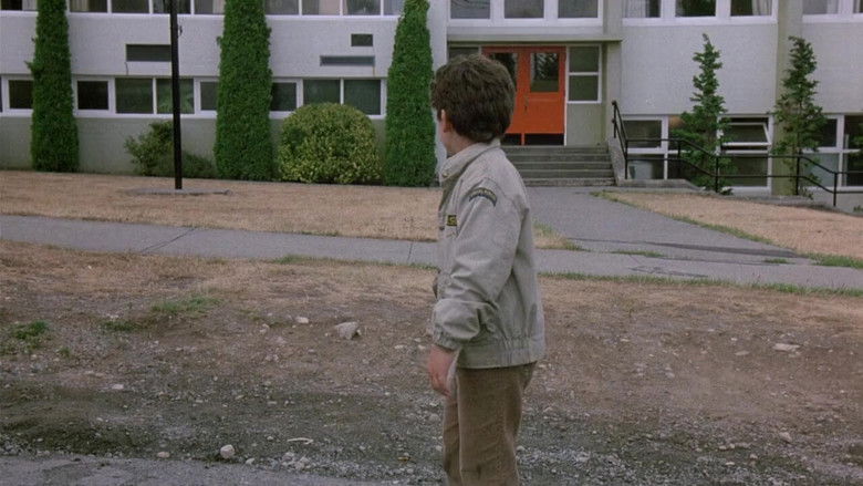 The Boy Who Could Fly still