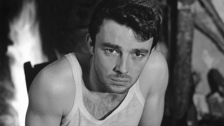 Le Beau Serge still