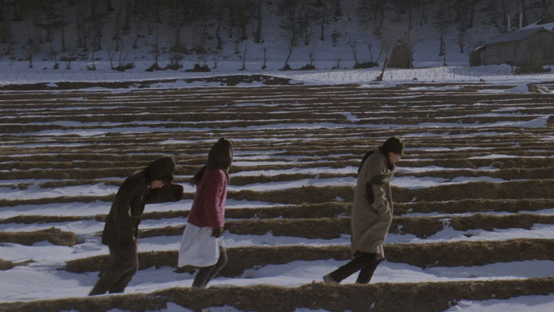 Whale Hunting still 2