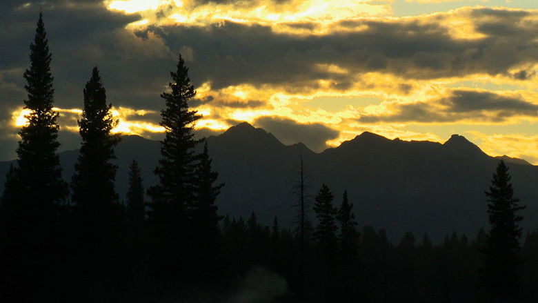 Before the Flood still