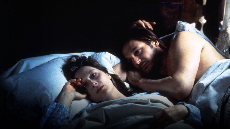 Before and After still