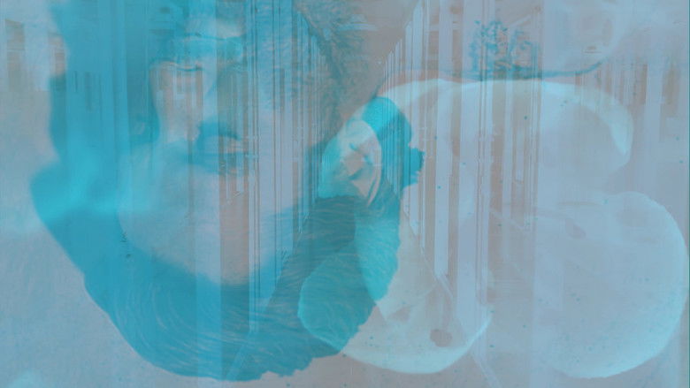 Seeing Through the Mists of Oblivion still