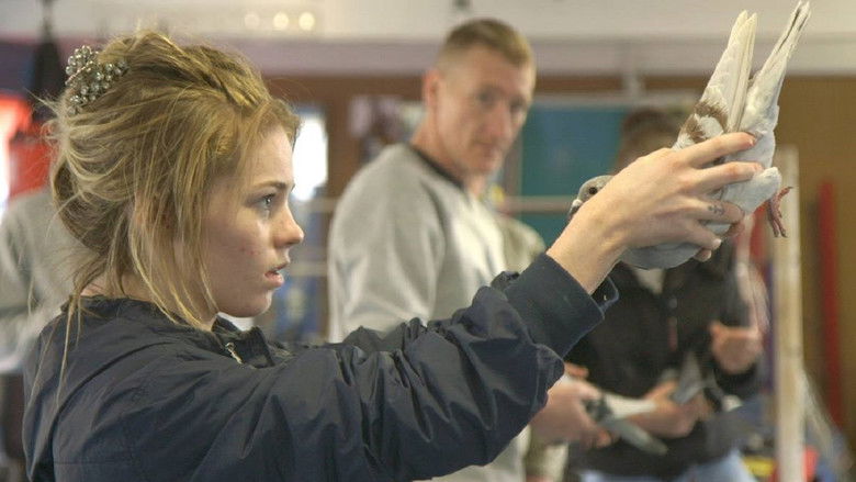 Scheme Birds still 2