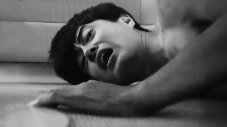 A Garden Without Birds still 2