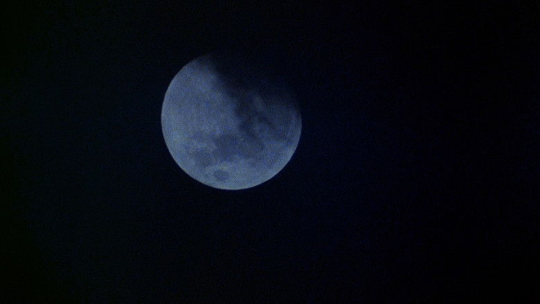 An American Werewolf in London still 3