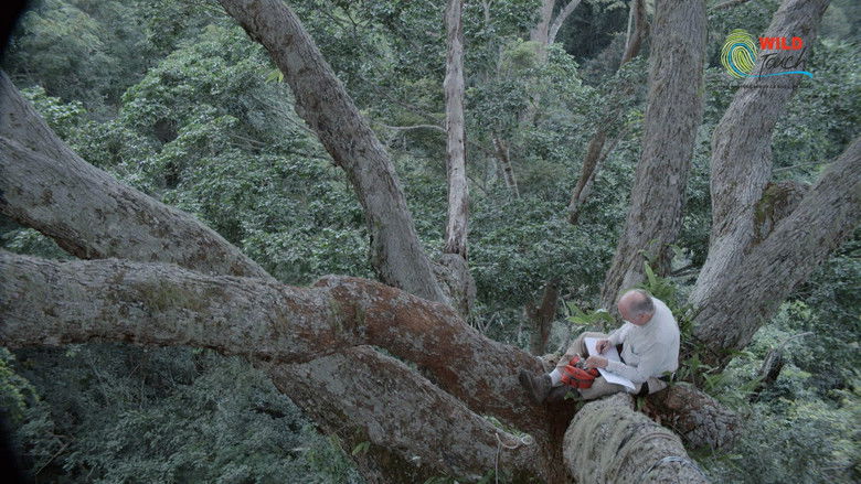 Botanist Francis Hallé Explains... still