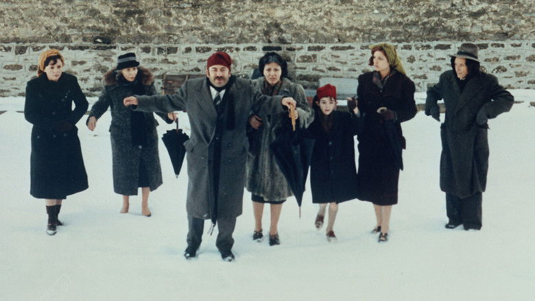 The Travelling Players still 1