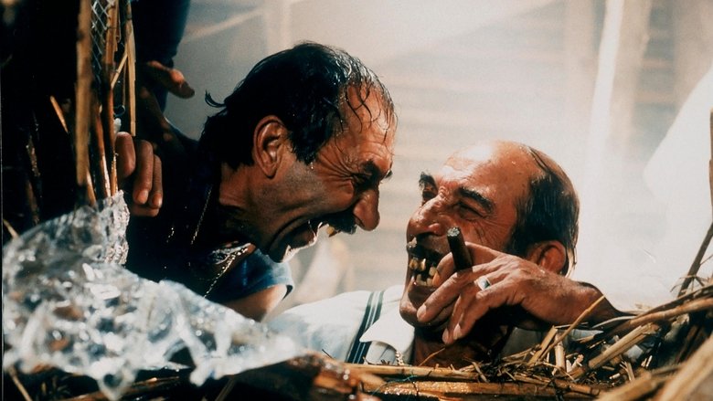 Black Cat, White Cat still 2