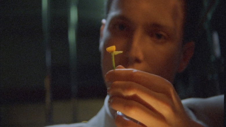 The Man Who Loved Flowers still