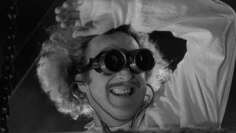 Young Frankenstein still 3