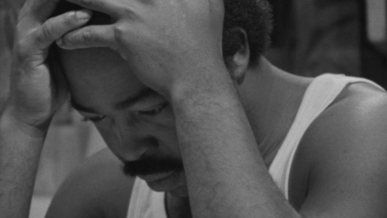 Bless Their Little Hearts still