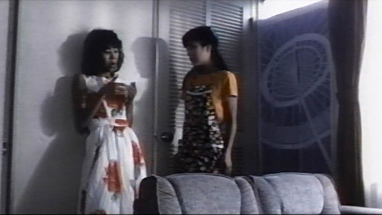 Wife Collector still