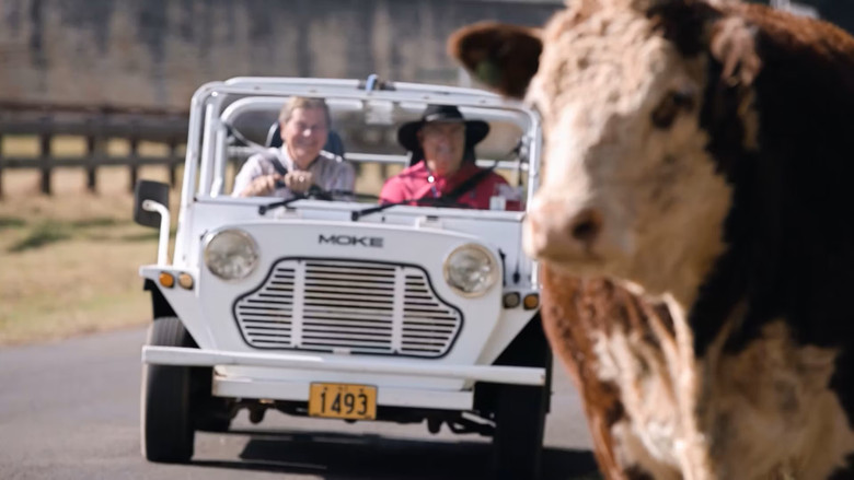 Chasing the Light: Norfolk Island still