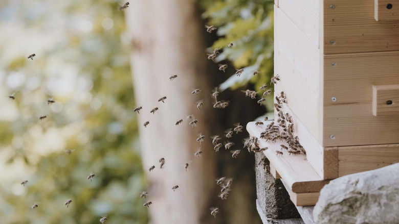 BE WILD - NORMALITY IS RADICAL still 2