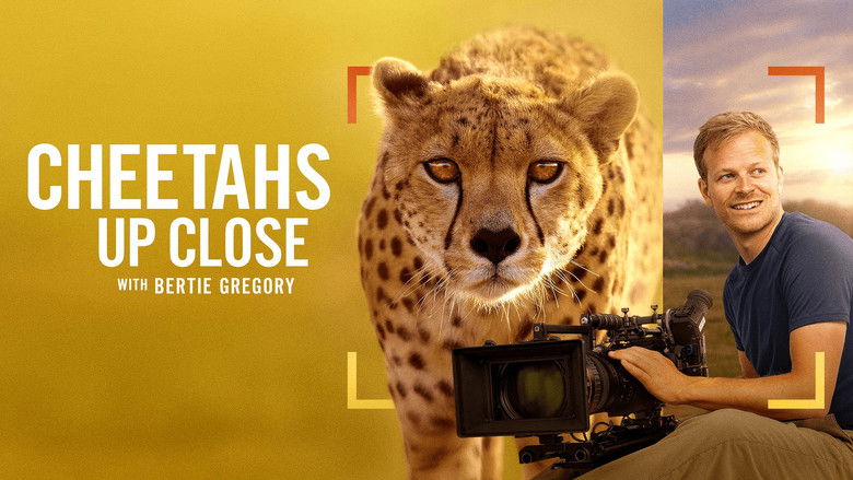Cheetahs Up Close with Bertie Gregory still