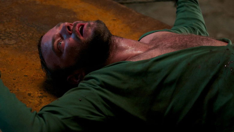 I Spit on Your Grave 2 still