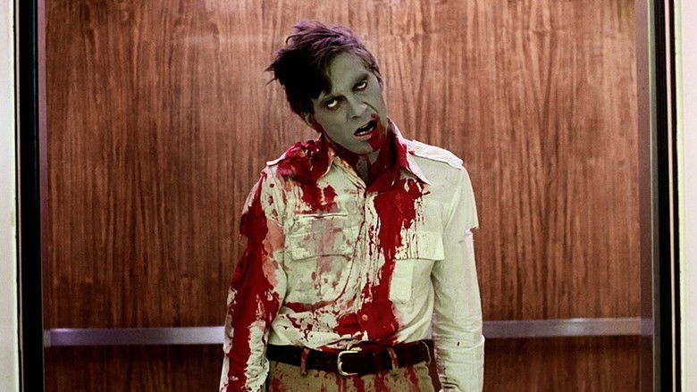 Dawn of the Dead still