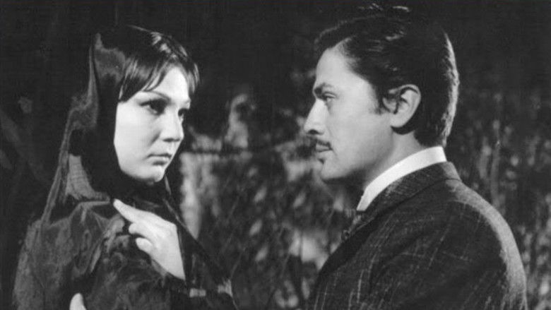 Four Women in the Harem still 1