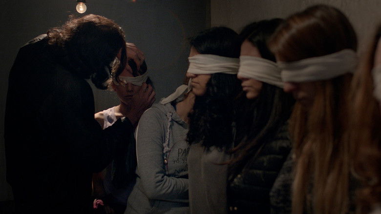 Lola Still Dances still