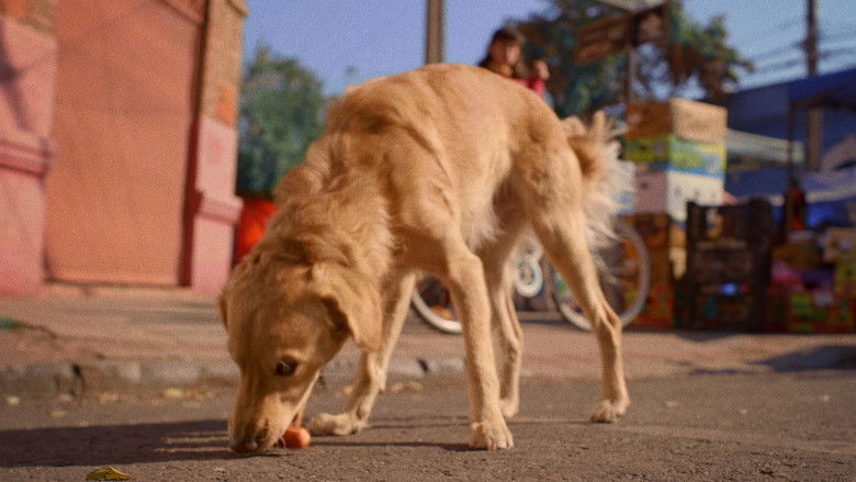 Sopaipillas Pasadas still