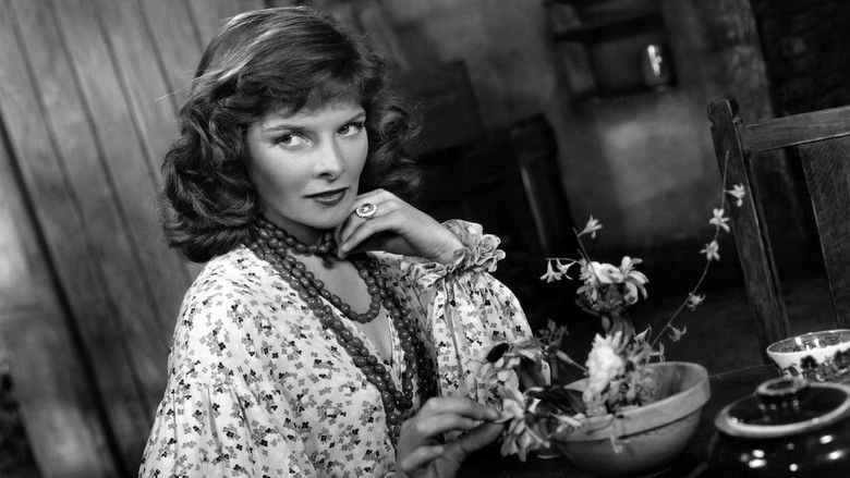 The Little Minister still