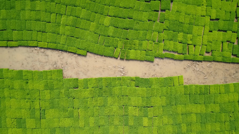 The Memory of Water still 1