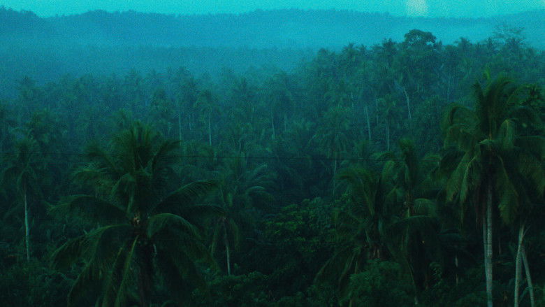 Days of Being Wild still