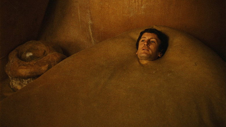 Je T'Aime, Je T'Aime still