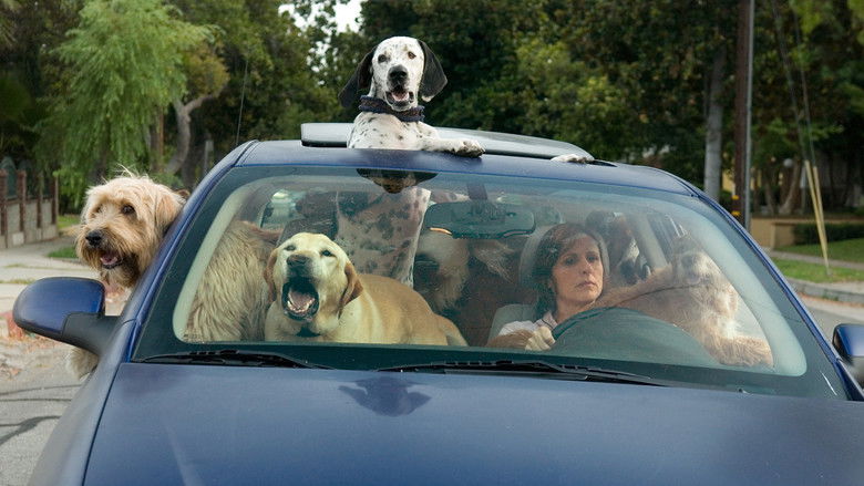 Year of the Dog still 1