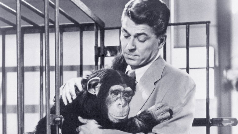 Bedtime for Bonzo still