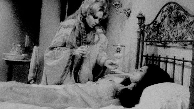 Vampir Cuadecuc still