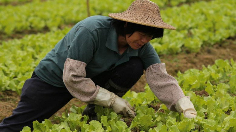 Open Road After Harvest still 1