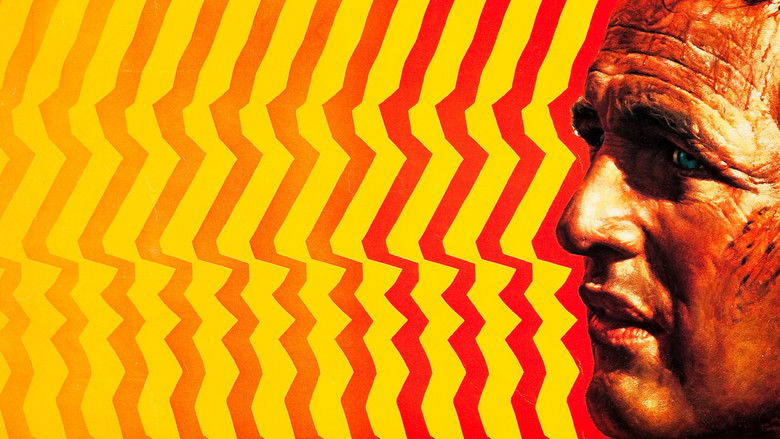 Cool Hand Luke still