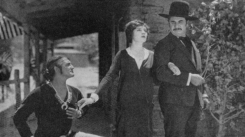 The Vanishing American still