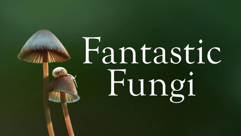 Fantastic Fungi still