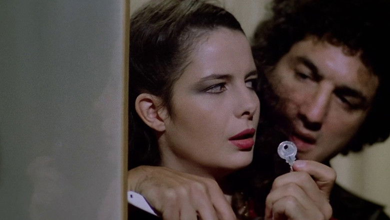 House on the Edge of the Park still