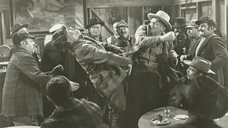 Woman of the North Country still 1