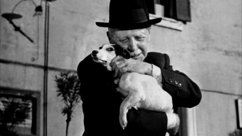 Umberto D. still