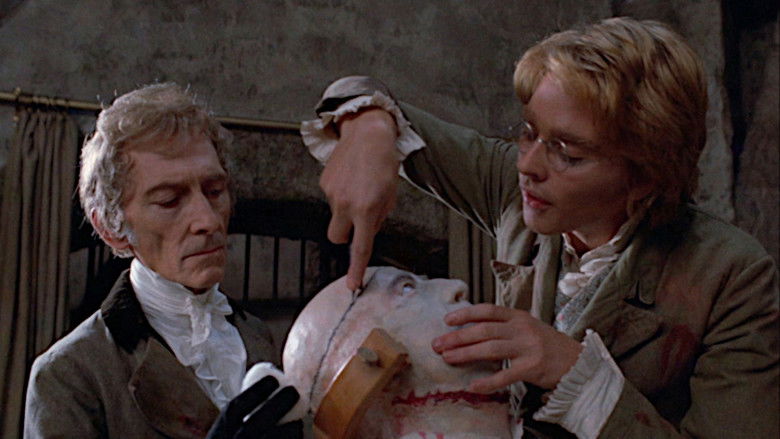 Frankenstein and the Monster from Hell still 3