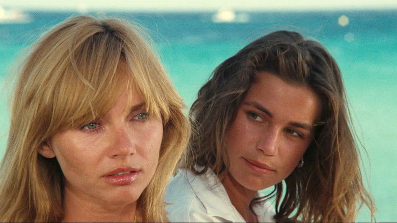 Year of the Jellyfish still