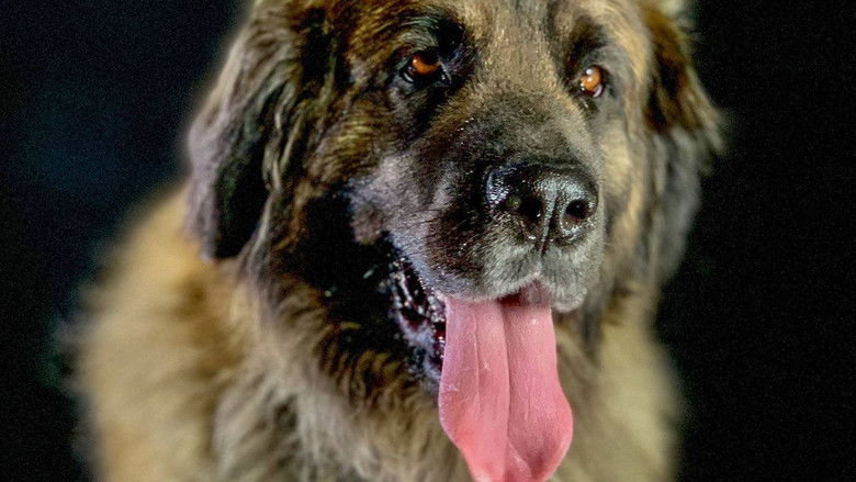 How dogs conquered the world still 1